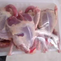 گوشت بلدرچین ، کبوتر و...