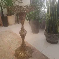 پایه میوه