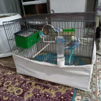 سه عدد مرغ عشق