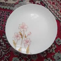 دو دست ظرف ارکوپال ۲۶ پارچه|ظروف سرو و پذیرایی|بابکان, |دیوار