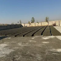 بلوک و مصالح فروشی گلستان|مصالح و تجهیزات ساختمان|چهارباغ, |دیوار