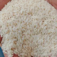 برنج دم سیاه درگز