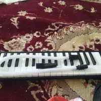 ملودی کا نونو|پیانو، کیبورد، آکاردئون|ایلام, |دیوار