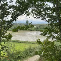 فروش دو پلاک زمین مسکونی با ویوی ابدی در اطراف رشت