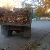 درخواست راننده پایه یکم