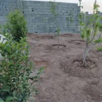 باغچه چار دیواری شده ۱۷۵ متری سند تک برگ