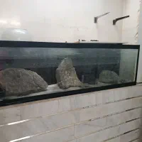 اکواریوم