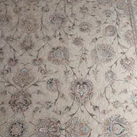 فرش ۱۲ متری|فرش|داراب, |دیوار