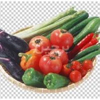 اجاره-زمین-کشاورزی