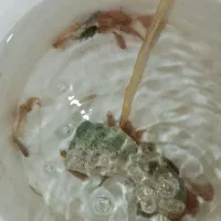 ماهی آکواریوم