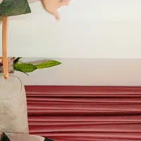 پرده کناره مخمل