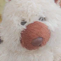 عروسک پولیشی|اسباب‌‌بازی|قزوین, |دیوار