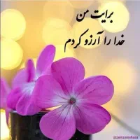 استخدام نیروی با تجربه کافی نت