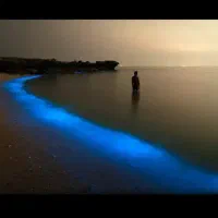 تور گشت جزیره با هایلوکس راننده محلی|تور و چارتر|قشم, |دیوار