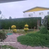 هرس کاری و سمپاشی وعلف تراشی با11سال تجربه کاری|خدمات باغبانی و درختکاری|چمستان, |دیوار