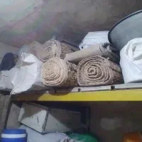 چند تا چیت در اندازه های مختلف