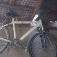 دوچرخه|دوچرخه، اسکیت، اسکوتر|رضویه, |دیوار