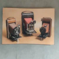 دو عدد تابلوی چاپ روی پارچه مخمل