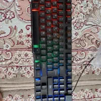 کیبورد و موس آرجیبی|قطعات و لوازم جانبی رایانه|تهران, سجاد|دیوار