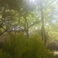 اجاره روزانه باغ تفت