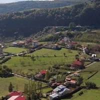 همخونه ای آقا