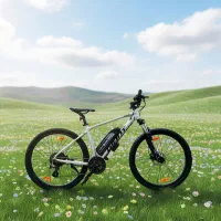دوچرخه برقی بهین موتور - جاینت Rincon1