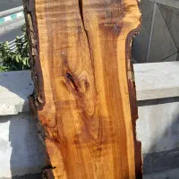 فروش اسلب طبیعی چوب گردو ضخامت ۱۰ سانت
