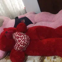 فروش عروسک خارجی