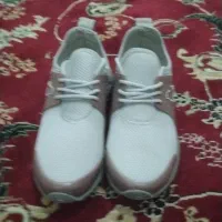 کفش شماره 38