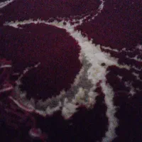 فرش