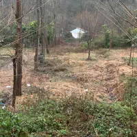 فروش-فوری-زمین