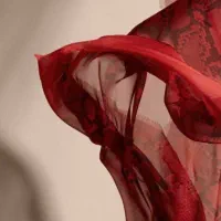 خیاط و گلدوز