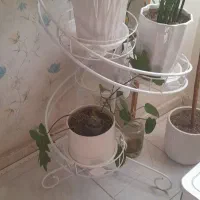 پایه گلدان وگلدان