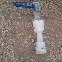 لوازم پروش بوقلمون قیمت مناسب|لوازم جانبی حیوانات|مشهد, هفده شهریور|دیوار