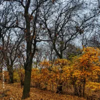 فروش سمند  ال ایکس خانگی مدل ۹۰ ، تیپ و ظاهر ۱۴۰۰