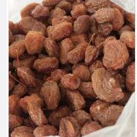 الو خوانساری