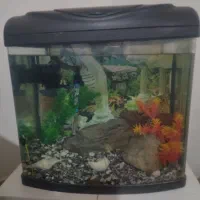 اکواریوم با تمام لوازم