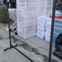 رگال خانگی معمولی