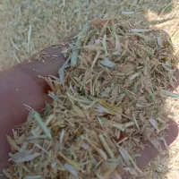 فروش کاه نخود وگندم