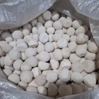 کشک گوسفندی سرحدی
