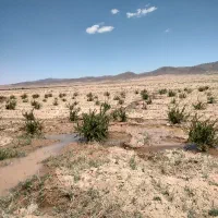 زمین کشاورزی وآب چاه عمیق دشت شیرکوه قهستان|فروش زمین و ملک کلنگی|قهستان, |دیوار