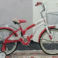 ۹ دستگاه دوچرخه سایز ۲۰ ساده|دوچرخه، اسکیت، اسکوتر|مریوان, |دیوار