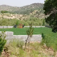 زمین  تنگ سریز