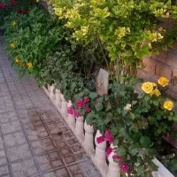 اجرای فضای سبز در در حیاط ویلایی شما