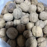 گردو امریکایی|خوردنی و آشامیدنی|اهواز, پردیس|دیوار