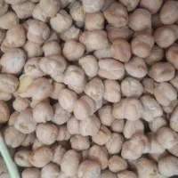 نخود|عمدهفروشی|رزن, |دیوار