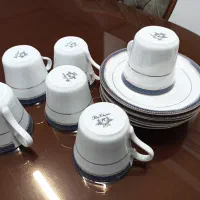 فنجان و نعلبکی چینی