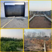 خوش قواره باغچه چهار دیوار