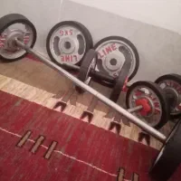 دمبل و هالتر