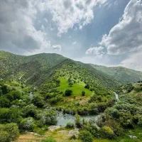 گل و گیاه کرمانشاهان(کرمانشاه نهال)